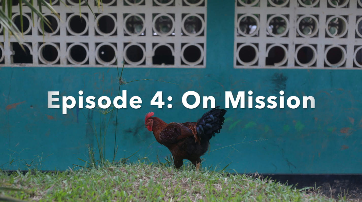 Image of Episode 4: On Mission thumbnail.