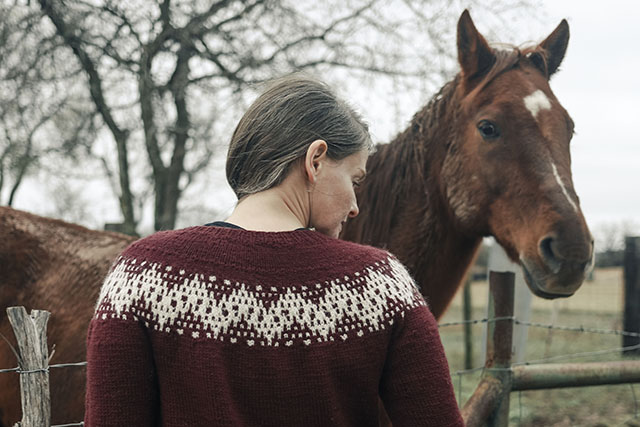 Image of the Phoenix colorwork yoke sweater and a horse I'm petting in it.