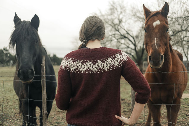 Image of me petting horses in my Phoenix yoke sweater.