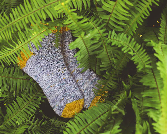 Image of some of my hand knit socks hidden in the ferns in my garden.