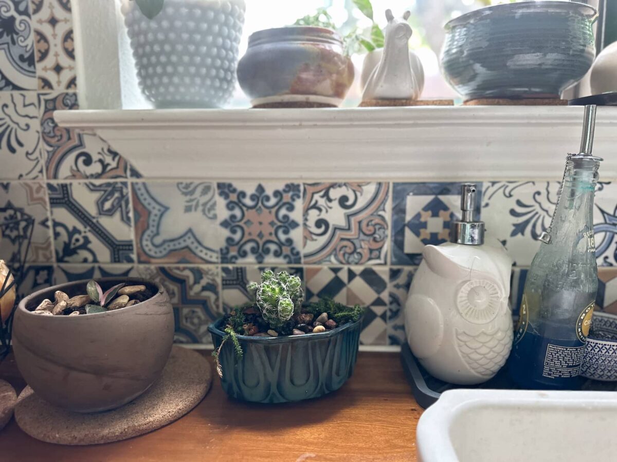 Image of a blue UPCO planter filled with succulents by my kitchen sink.