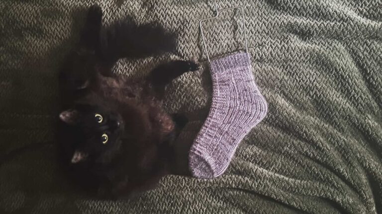 Image of my first fuzzy Simply Irresistible Sock next to my fuzzy cat.