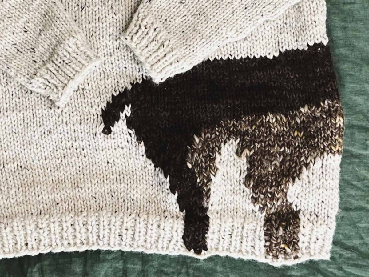 Image of the back of my moose sweater.