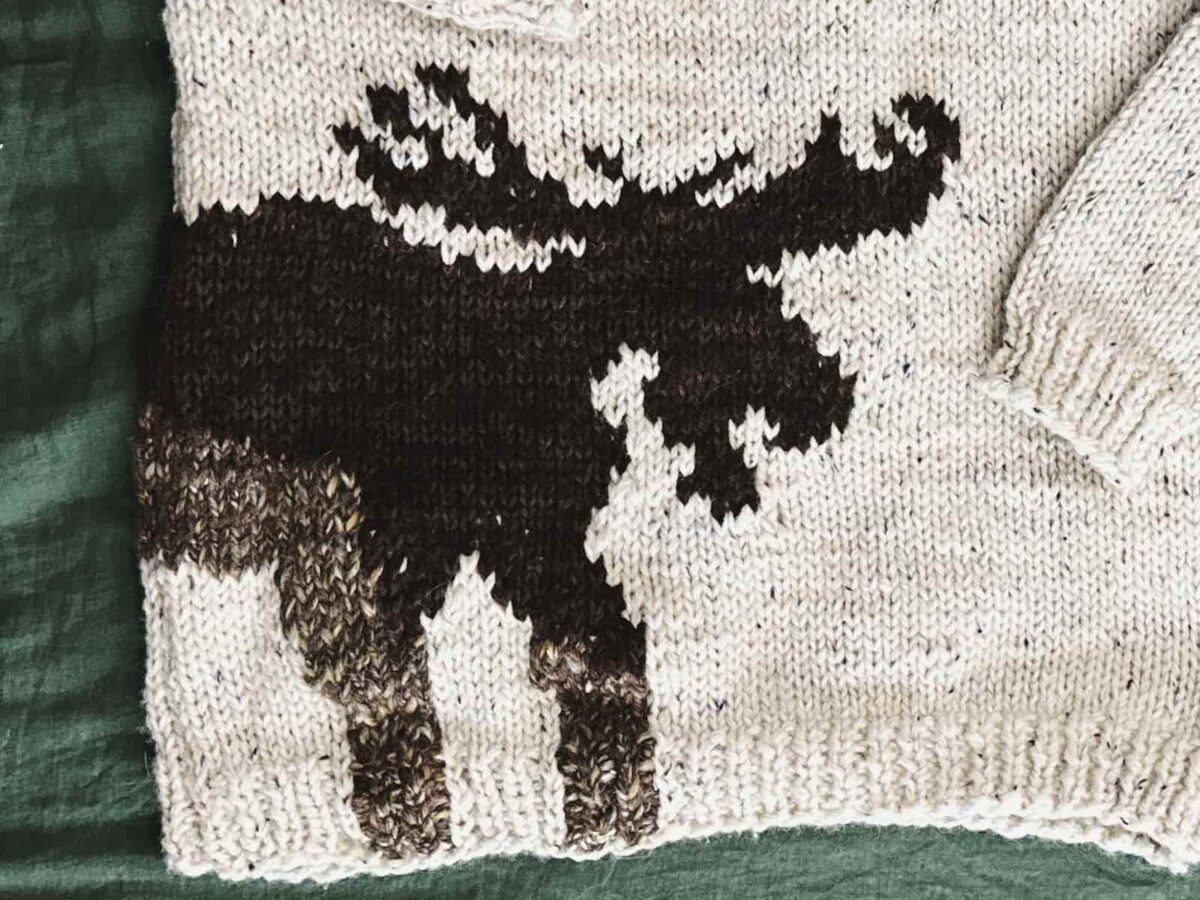 Image of my completed moose sweater.