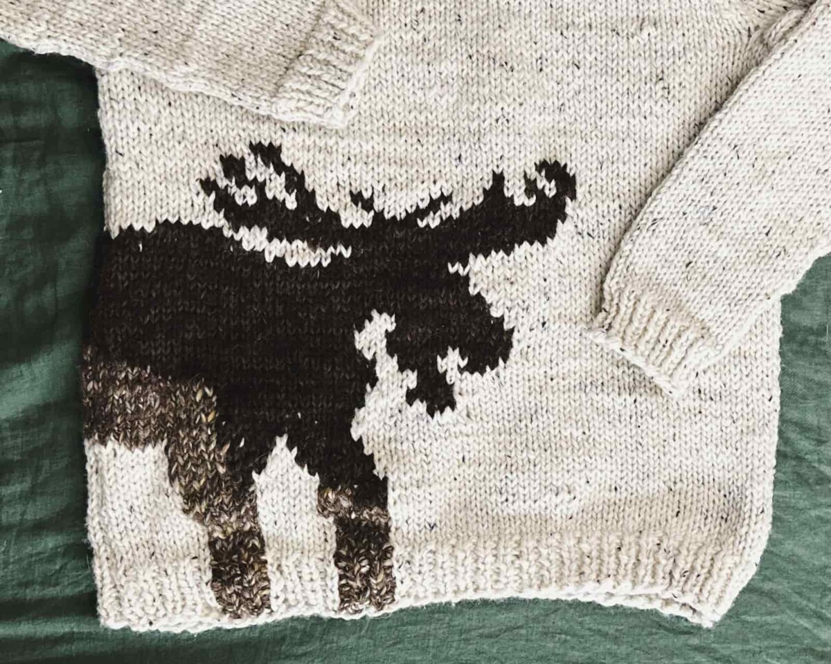 Image of the front of my moose sweater.